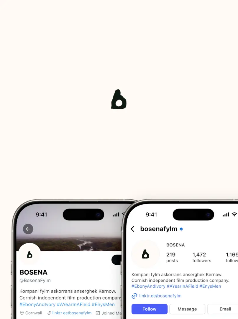 A mockup of Bosena's Twitter and Instagram pages, in a minimal style.